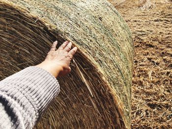 Cropped hand of person touching hay bale on field