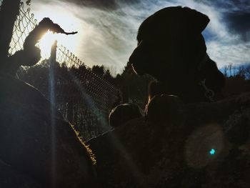 Silhouette man against sky during sunset