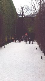 People walking on snow covered landscape