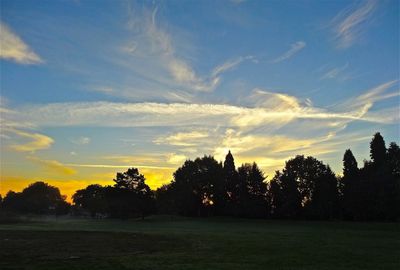 Trees on field against cloudy sky