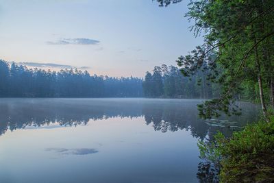 Scenic view of lake in forest against sky