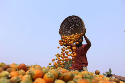 Betel nuts or areca nuts processing.