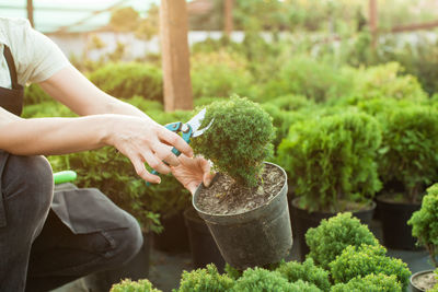 Man holding potted plant in yard