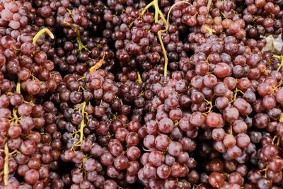 Full frame shot of grapes