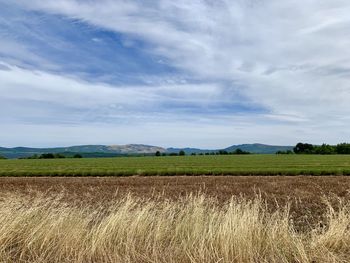 Scenic view of agricultural field against sky