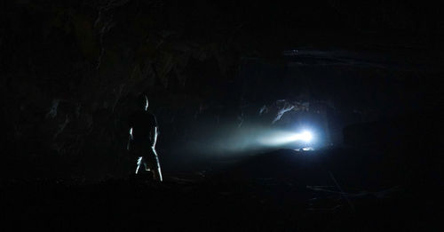 Rear view of person standing in illuminated forest at night