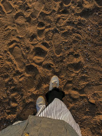 Low section of man standing on beach