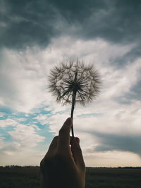 Hand holding dandelion against sky