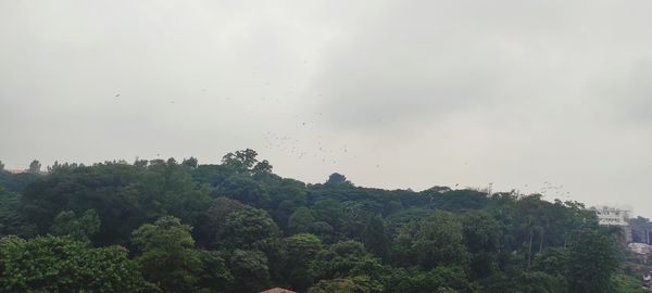 Scenic view of trees against sky