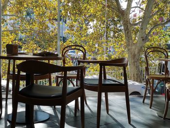 Empty chairs and table against trees during autumn