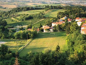 High angle view of trees and houses on field