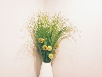 Close-up of woman by flower vase against white wall