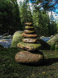 Stack of pebbles on rocks against trees