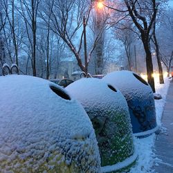 Frozen trees on snow covered landscape