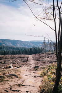 Scenic view of landscape against sky