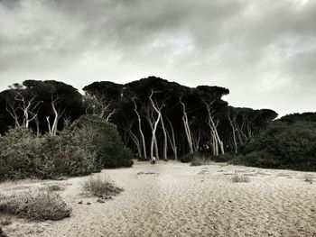 Scenic view of landscape against cloudy sky