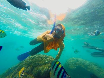 High angle view of fish swimming in sea