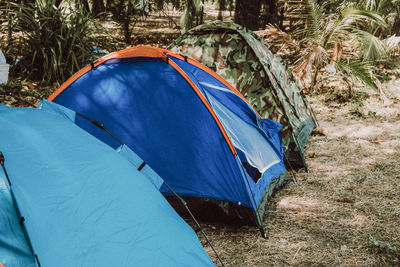 Tent on field against trees