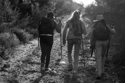 Rear view of people walking in forest