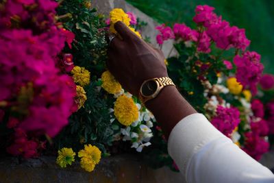 Low section of woman holding pink flowering plants