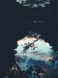 High angle view of tree by lake against sky