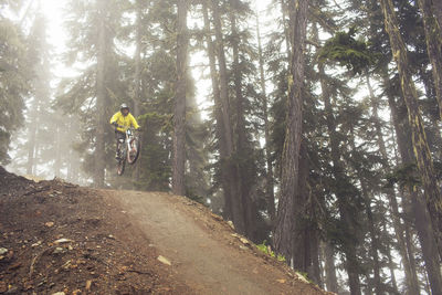 Low angle view of man mountain biking in forest during foggy weather