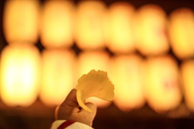 Cropped hand of baby holding flower petal against illuminated lights at night