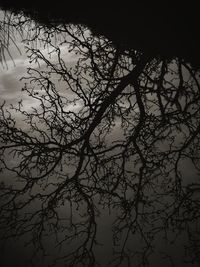 Low angle view of silhouette bare tree against sky at sunset