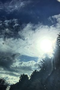 Low angle view of trees against cloudy sky