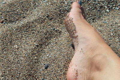Low section of woman on beach