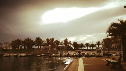 Palm trees against sky during sunset