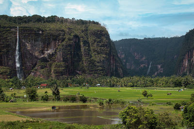 Scenic view of landscape against sky