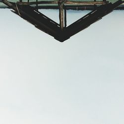 Low angle view of tree against clear sky