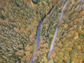 High angle view of road amidst trees in forest