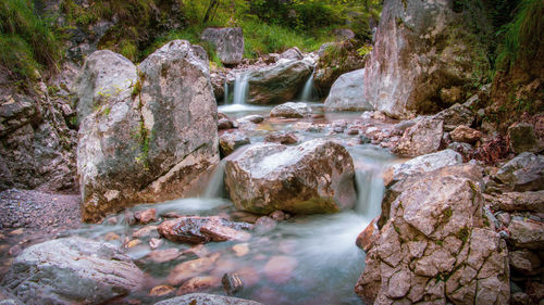 Scenic view of waterfall in forest