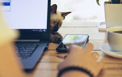 Portrait of a young man using laptop