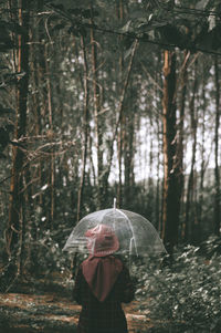 Woman standing by trees in forest