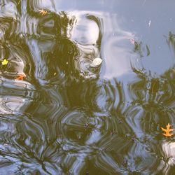 High angle view of swimming in lake