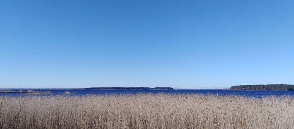 Scenic view of lake against clear blue sky