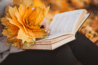 Close-up of hand holding book