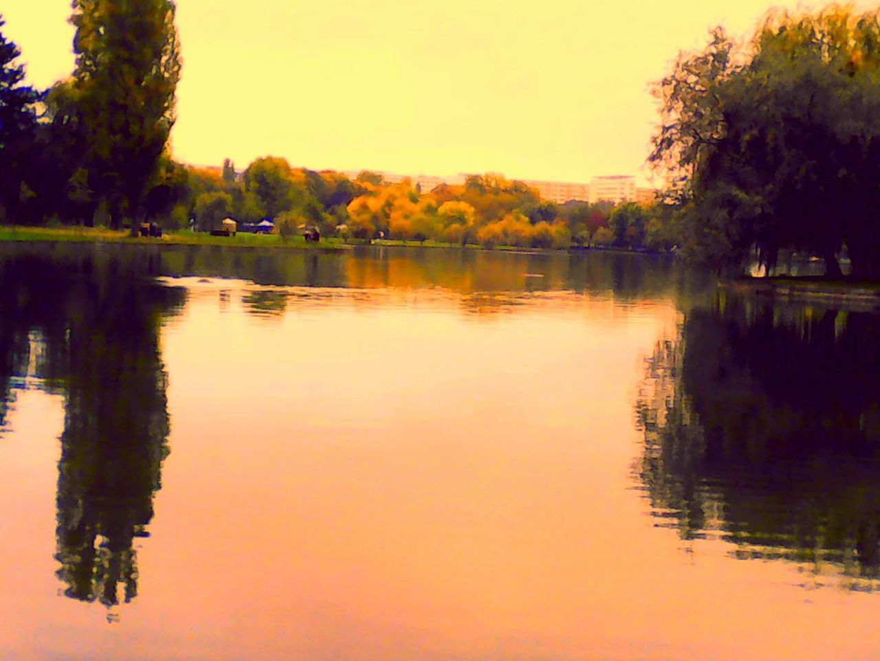 reflection, tree, water, nature, lake, beauty in nature, scenics, outdoors, sunset, tranquility, no people, tranquil scene, sky, bird, day, animal themes