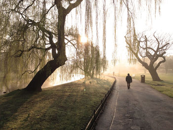 Rear view of man walking on road by trees