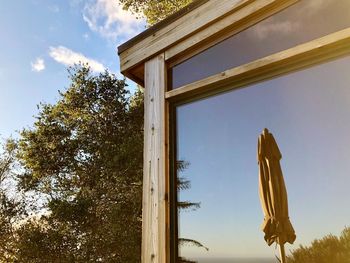 Low angle view of hanging tree against sky