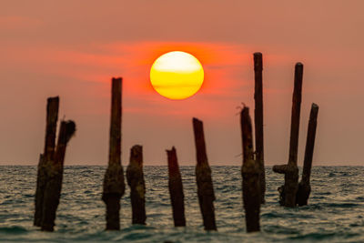 Wooden posts in sea against sky during sunset