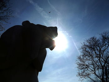 Close-up of silhouette hand against sky at night