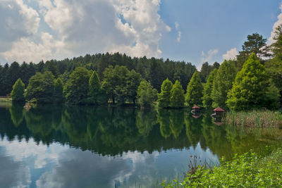 Scenic view of lake and trees against sky