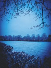 Bare trees by calm lake