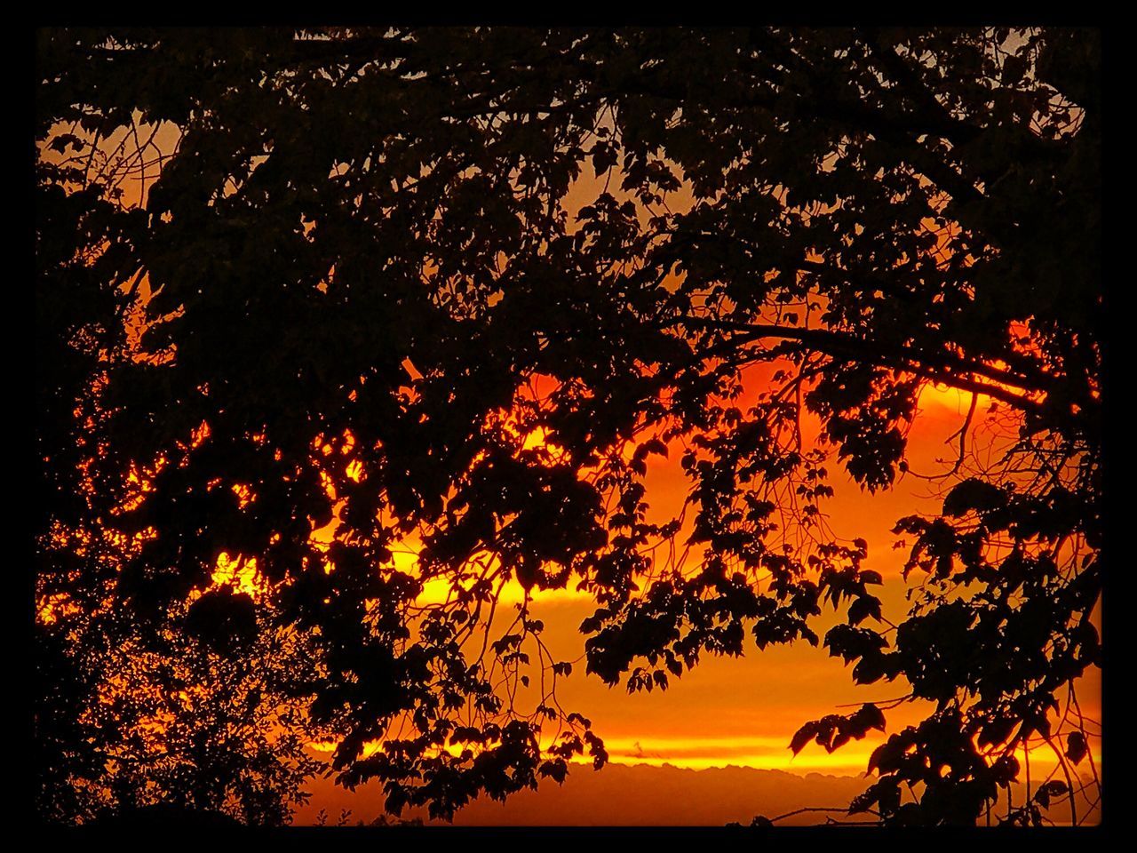 heat - temperature, no people, burning, close-up, nature, outdoors