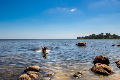 Scenic view of rocks in sea against blue sky