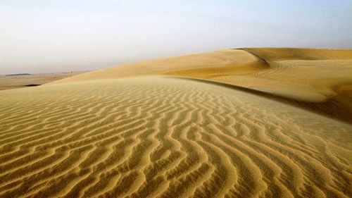 Scenic view of desert